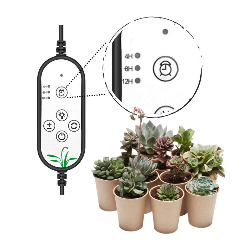 Lampe Horticole pour croissance des plantes