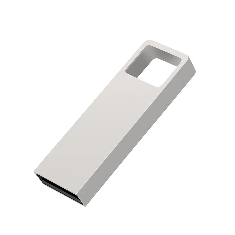 Clé USB PRO en métal Lecteur Flash