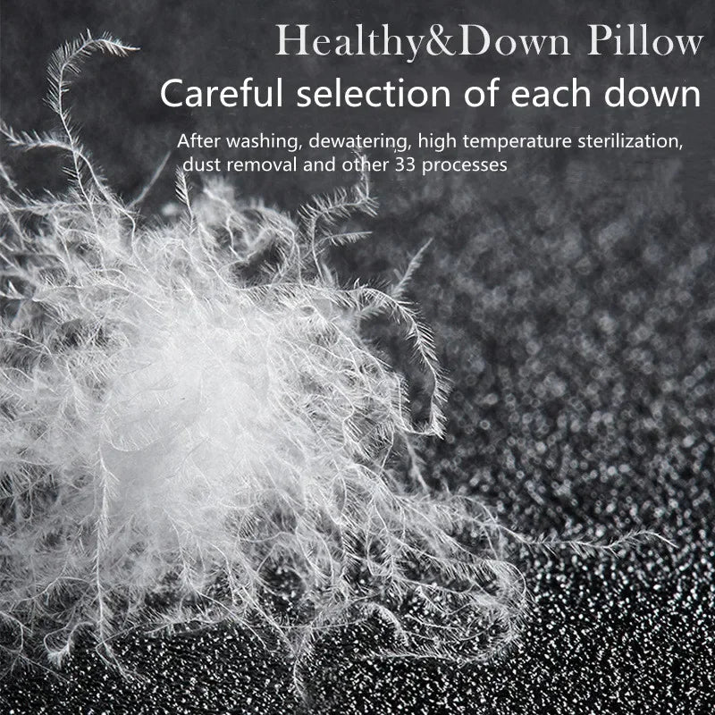 Oreiller d'hôtel de luxe - Coton & Plume d'oie