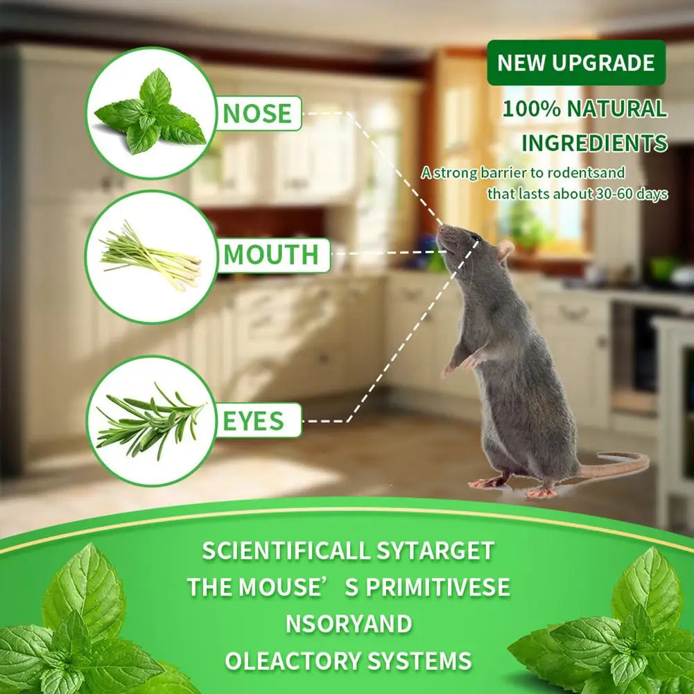 12x Répulsifs Anti Rats & Souris à Base de Plantes