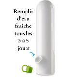 Bouteille conservatrice d'herbe aromatique