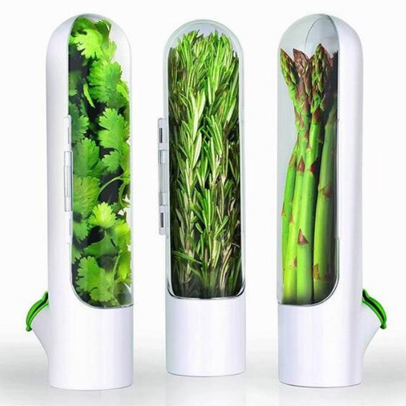 Bouteille conservatrice d'herbe aromatique