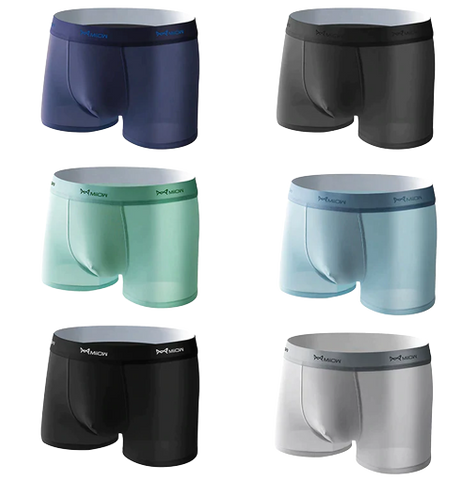 Lot de 4 boxers en soie glacée